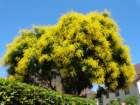 dsc09830_small.jpg