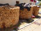 dsc09831_small.jpg