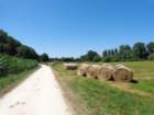 dsc09858_small.jpg