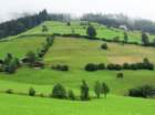 dsc07112_small.jpg