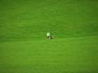 dsc07155_small.jpg