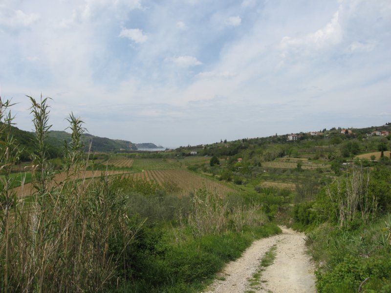 img_9855.jpg