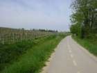 parenzana29042012013_small.jpg