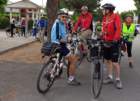 dsc08531_small.jpg