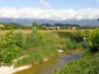 dsc08534_small.jpg