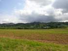 dsc08544_small.jpg