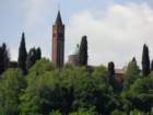 dsc08566_small.jpg