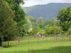 dsc08587_small.jpg