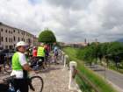 dsc08603_small.jpg