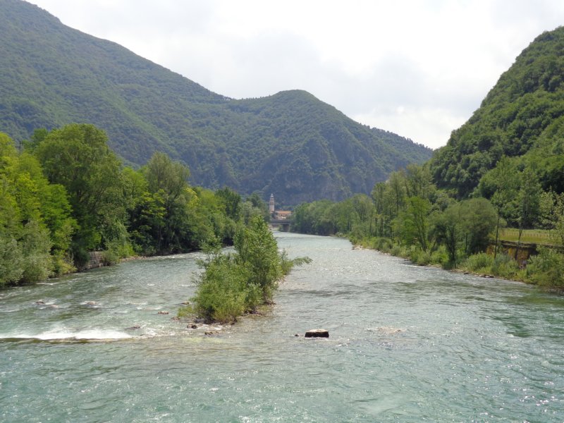 dsc08710.jpg