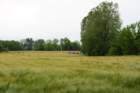 dsc08766a_small.jpg