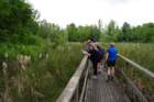 dsc08767_small.jpg