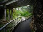 dsc04929_small.jpg