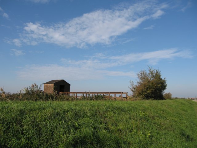 img_5668.jpg