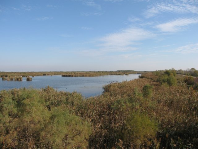 img_5676.jpg