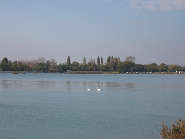 img_5678.jpg