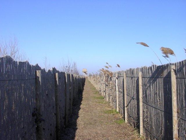 pict0015.jpg