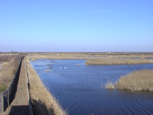 pict0019.jpg
