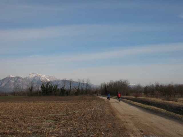 img_7445.jpg