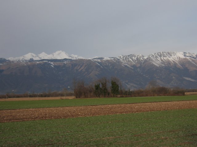 img_7446.jpg