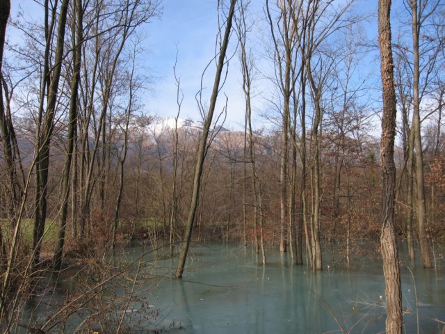 img_7466.jpg
