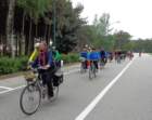 dsc06988_small.jpg