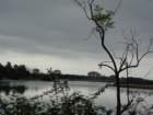 dsc07013_small.jpg