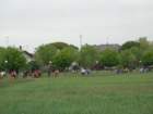 dsc07022_small.jpg