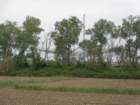 dsc07039_small.jpg
