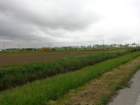 dsc07047_small.jpg
