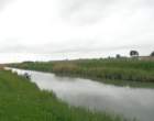 dsc07061_small.jpg