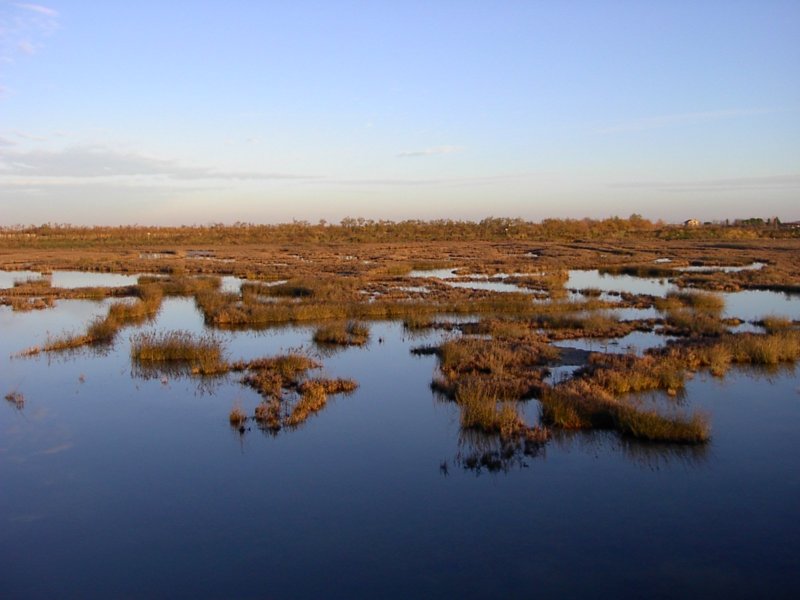 pict0103.jpg