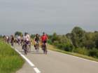 dsc01778_small.jpg