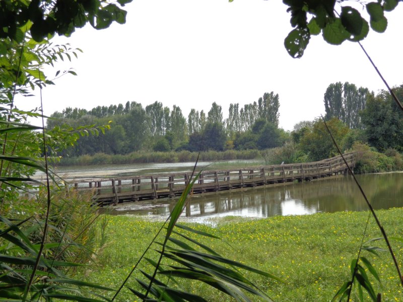 dsc01890.jpg
