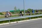 dsc00475a_small.jpg