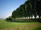 dsc00495_small.jpg