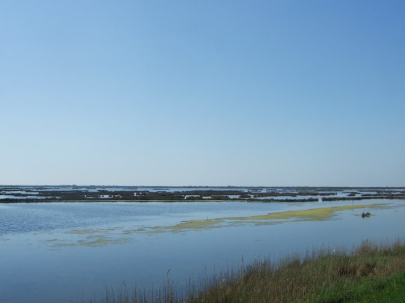 dsc00560cd.jpg