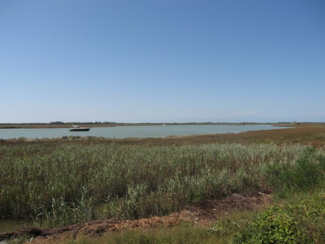 img_9104.jpg