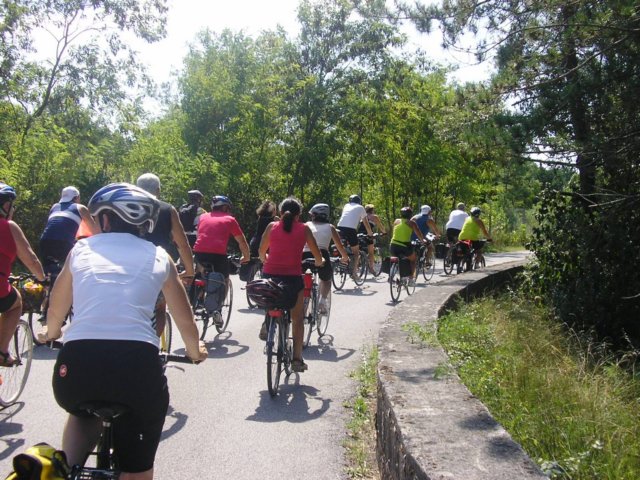 latisanabibione28082011011.jpg