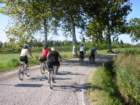 latisanabibione28082011054_small.jpg