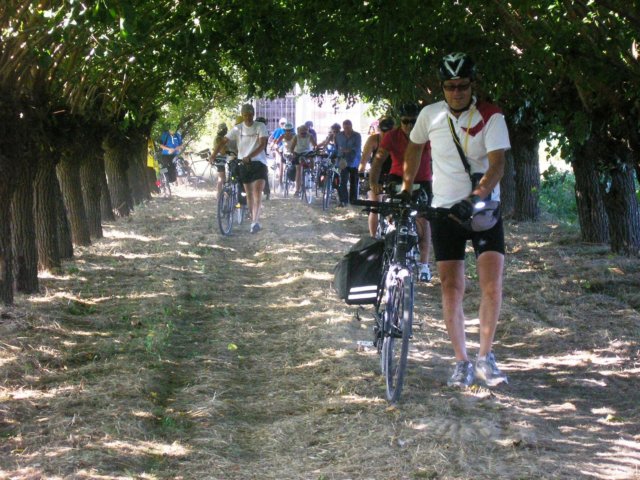latisanabibione28082011058.jpg