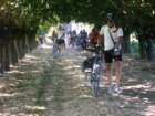 latisanabibione28082011058_small.jpg
