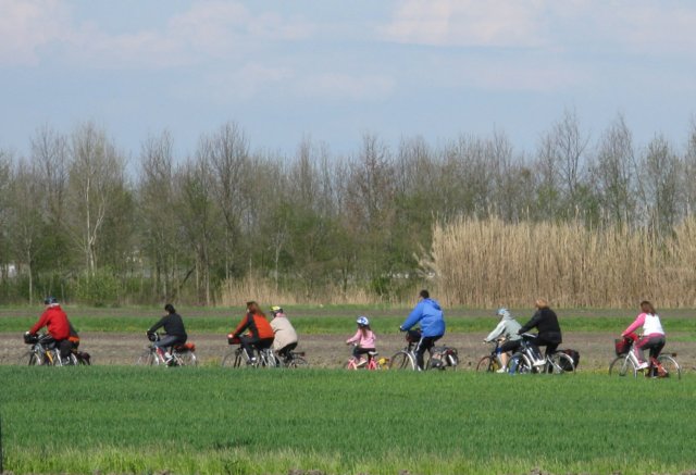 immagine027a.jpg