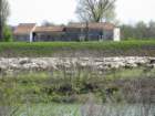 immagine095_small.jpg