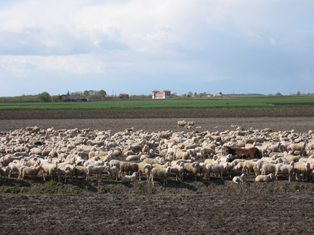 immagine118.jpg