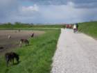 immagine118b_small.jpg