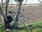 immagine124_small.jpg