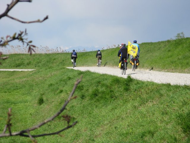 immagine127.jpg