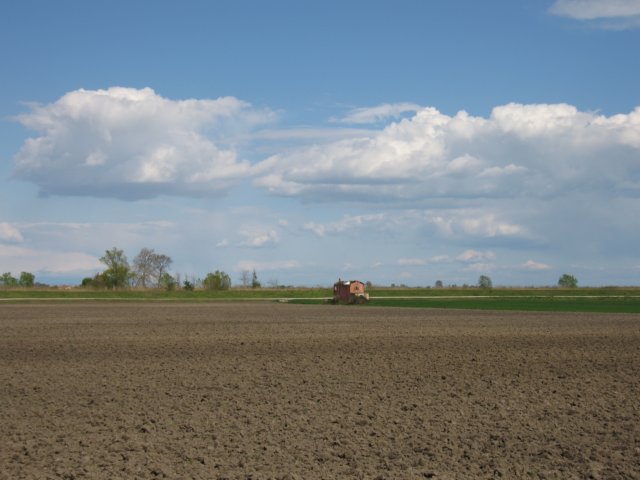 immagine133.jpg