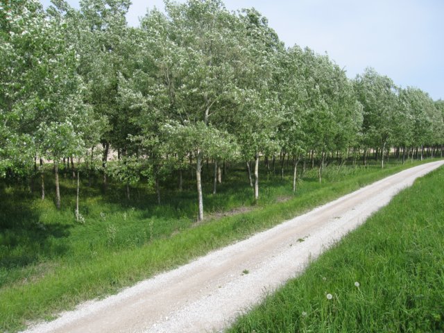 img_5974.jpg